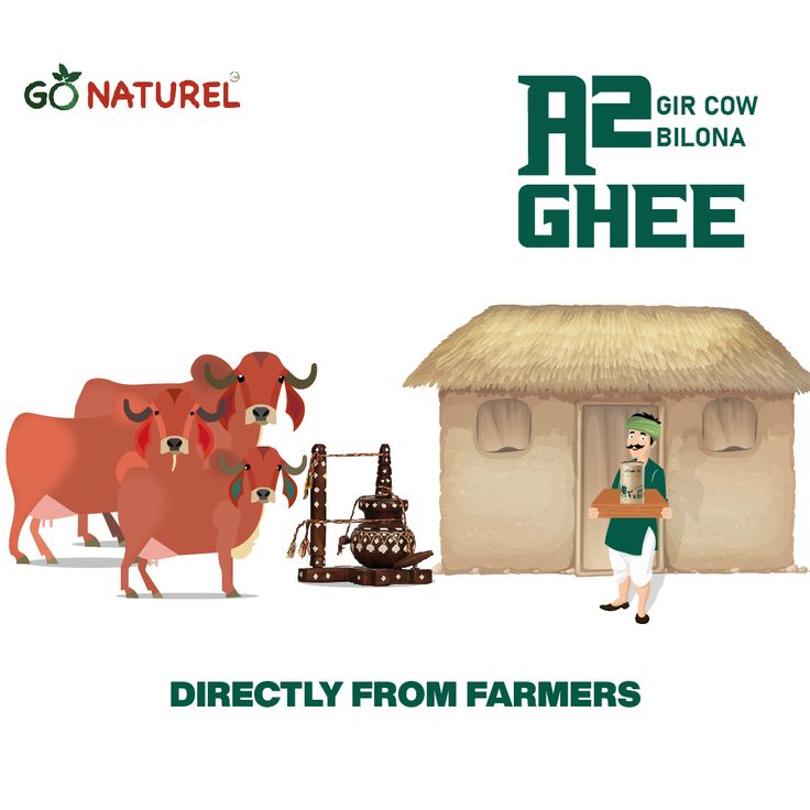 Why Is A2 Ghee Considered Healthier Than Regular Ghee? A Comprehensive Guide