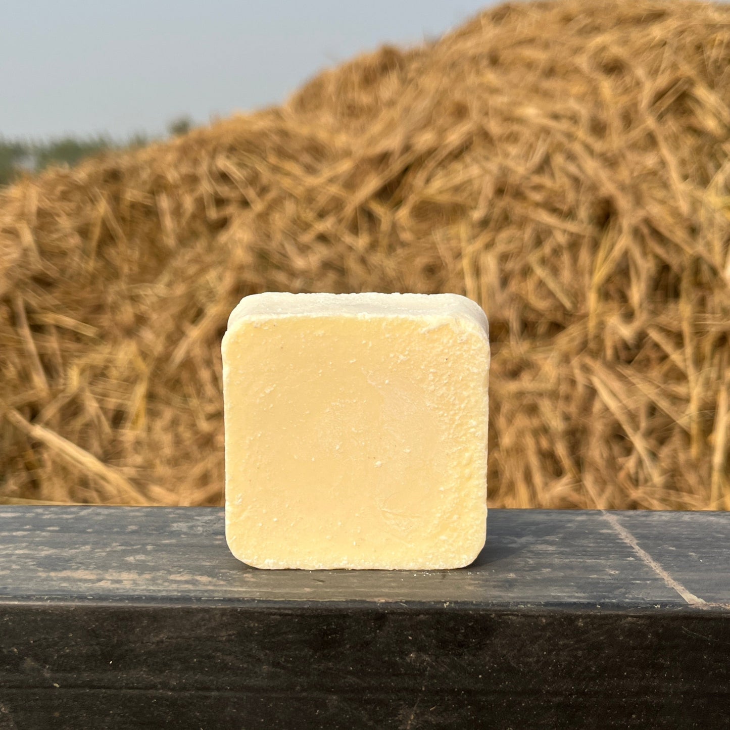 Gavyaveda Skin Soap - Natural, Moisturizing, Gentle Care